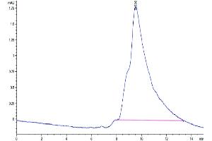 Size-exclusion chromatography-High Pressure Liquid Chromatography (SEC-HPLC) image for Dickkopf Homolog 1 (DKK1) (AA 32-266) protein (His tag) (ABIN7274467)