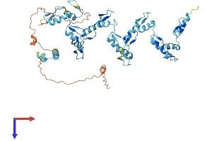 ZNF490 Protein (AA 1-529) (His tag)