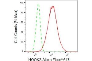 Flow cytometric analysis of HOOK2 expression in HepG2 cells using HOOK2 antibody (ABIN7798999), 1:2,000). (Rekombinanter HOOK2 Antikörper)