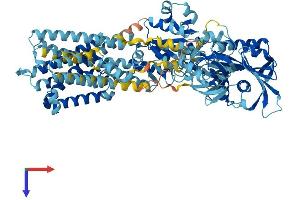 ATP2C1 Protein (AA 1-918) (His tag)