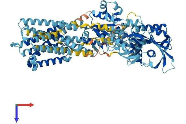 ATP2C1 Protein (AA 1-918) (His tag)