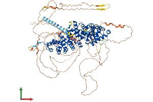AlphaFold protein structure predicition of Human Recombinant CTNND1 Protein, UniprotID O60716