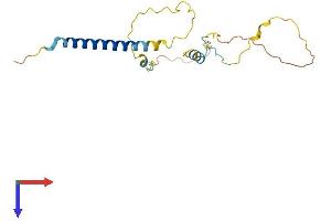 TRIM Protein (AA 1-186) (His tag)