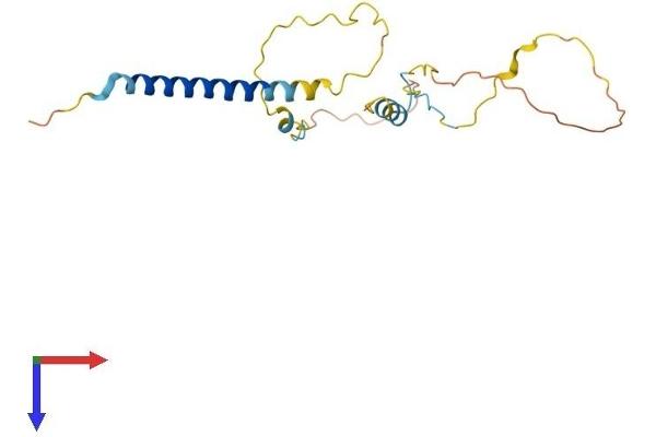 TRIM Protein (AA 1-186) (His tag)