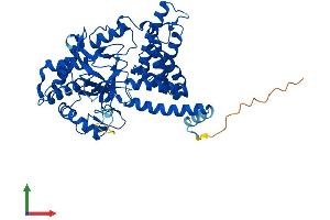 Protein Structure (PS) image for SET and MYND Domain Containing 1 (SMYD1) (AA 1-490) protein (His tag) (ABIN7556808)