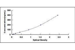 ELISA image for Insulin-Like Growth Factor Binding Protein 3 (IGFBP3) ELISA Kit (ABIN414870)