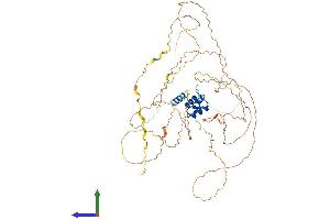 Protein Structure (PS) image for Regulatory Solute Carrier Protein, Family 1, Member 1 (RSC1A1) (AA 1-582) protein (His tag) (ABIN7565046)
