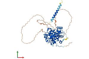 AlphaFold protein structure predicition of Mouse Recombinant St6gal2 Protein, UniprotID Q76K27