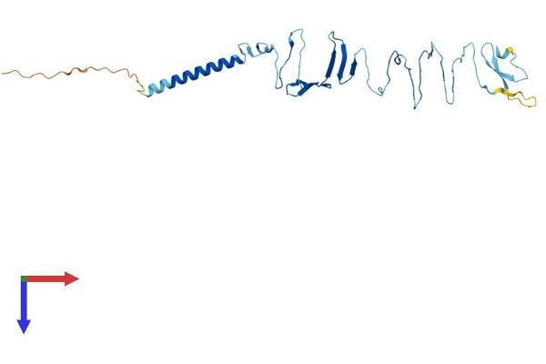 SGCD Protein (AA 1-289) (His tag)