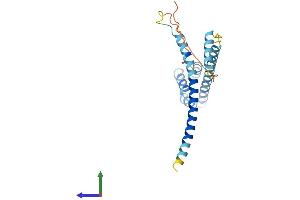 Protein Structure (PS) image for Coiled-Coil Domain Containing 43 (CCDC43) (AA 1-222) protein (His tag) (ABIN7560604)
