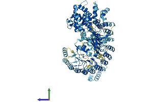 Protein Structure (PS) image for NLR Family, Pyrin Domain Containing 4E (NLRP4E) (AA 1-978) protein (His tag) (ABIN7564000)