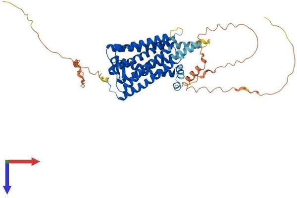 OPN4 Protein (AA 1-478) (His tag)