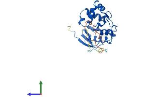 Protein Structure (PS) image for O6-Methylguanine-DNA-Methyltransferase (MGMT) (AA 1-207) protein (His tag) (ABIN7549405)