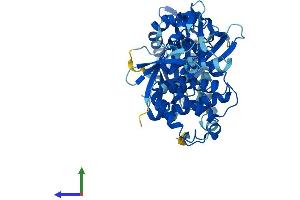 AlphaFold protein structure predicition of Mouse Recombinant Oasl2 Protein, UniprotID Q9Z2F2