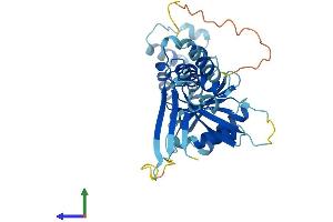 Protein Structure (PS) image for Centromere Protein N (CENPN) (AA 1-337) protein (His tag) (ABIN7560805)