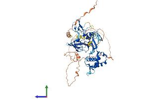 Protein Structure (PS) image for PHD Finger Protein 19 (PHF19) (AA 1-578) protein (His tag) (ABIN7564960)