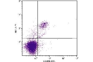 C57BL/6 mouse splenocytes were stained with Mouse Anti-Mouse NK1. (NK-1.1/CD161c Antikörper)