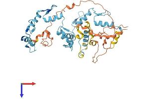 ZNF785 Protein (AA 1-405) (His tag)