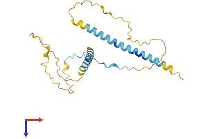 RCAS1 Protein (AA 1-213) (His tag)