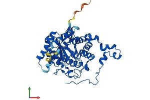 Protein Structure (PS) image for Betaine--Homocysteine S-Methyltransferase 2 (BHMT2) (AA 1-363) protein (His tag) (ABIN7560055)