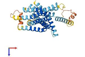 AlphaFold protein structure predicition of Mouse Recombinant Tas2r119 Protein, UniprotID Q9JKT2
