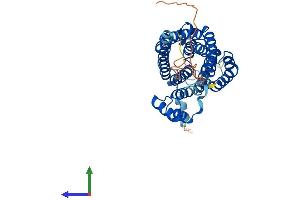 Protein Structure (PS) image for LAG1 Homolog, Ceramide Synthase 5 (LASS5) (AA 1-392) protein (His tag) (ABIN7553314)