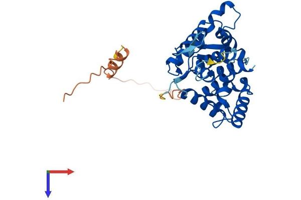 GOLPH3 Protein (AA 1-298) (His tag)