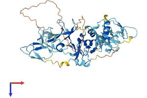 Parkin Protein (AA 1-464) (His tag)