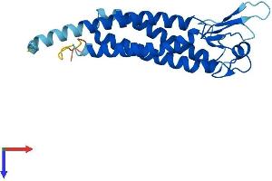 LHFPL5 Protein (AA 1-219) (His tag)