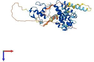 NR2E3 Protein (AA 1-410) (His tag)