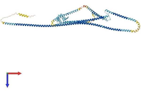 MAD1L1 Protein (AA 1-718) (His tag)