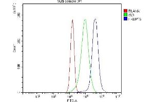 anti-FK506 Binding Protein 15, 133kDa (FKBP15) (AA 19-1210) antibody