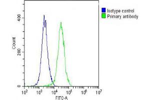 Overlay histogram showing A2058 cells stained with Antibody (green line). (ARV1 Antikörper  (N-Term))