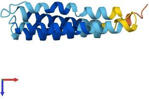 LEPROTL1 Protein (AA 1-131) (His tag)