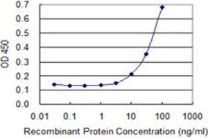 ELISA image for anti-Ezrin (EZR) (AA 1-586) antibody (ABIN521339)