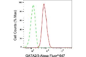 Flow cytometric analysis of GATA2/3 expression in HAP-1 cells using GATA2/3 antibody (ABIN7800933), 1:2,000). (Rekombinanter GATA2/GATA3 Antikörper)