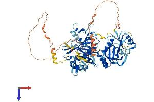 HLCS Protein (AA 1-722) (His tag)