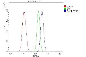 Flow Cytometry analysis of A549 cells using anti-IRAK1 antibody (ABIN7603128).