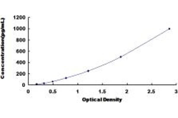 Arrestin 3 ELISA Kit