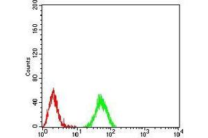 Flow cytometric analysis of *** cells using HIST2H3C(27Ac) mouse mAb (green) and negative control (red). (Histone Cluster 2, H3c (HIST2H3C) (acLys27) Antikörper)
