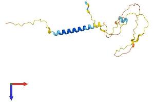 SIT1 Protein (AA 1-180) (His tag)