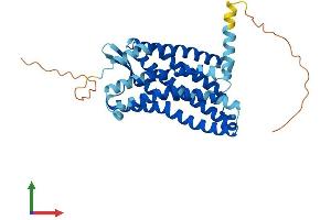 Protein Structure (PS) image for Chemokine (C-C Motif) Receptor 3 (CCR3) (AA 1-355) protein (His tag) (ABIN7553106)