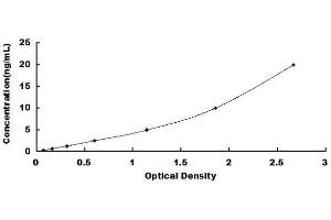 Typical standard curve (TLR9 ELISA Kit)