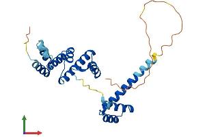 AlphaFold protein structure predicition of Human Recombinant SIX6 Protein, UniprotID O95475