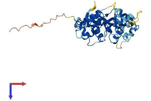 PRKAG1 Protein (AA 1-331) (His tag)