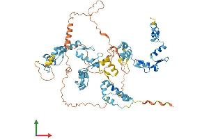 Protein Structure (PS) image for Zinc Finger Protein 90 (ZNF90) (AA 1-636) protein (His tag) (ABIN7556112)