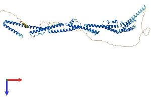 PRC1 Protein (AA 1-603) (His tag)