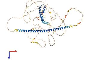 TOX3 Protein (AA 1-575) (His tag)