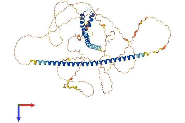 TOX3 Protein (AA 1-575) (His tag)