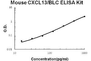 Mouse CXCL13/BLC PicoKine ELISA Kit standard curve (CXCL13 ELISA Kit)